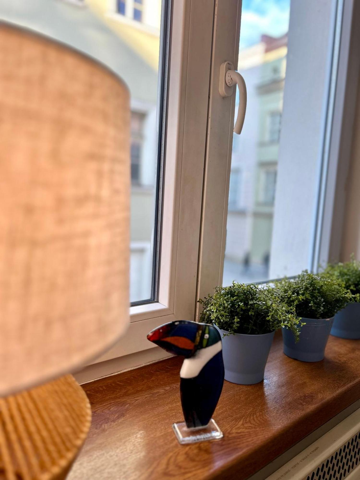 Vintage Senacka Apartaments 克拉科夫 外观 照片